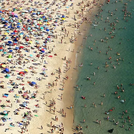 T4 Luís Apartamento