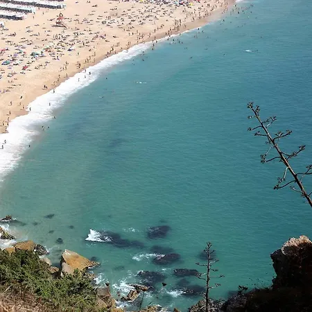 T4 Luis Apartment Nazare