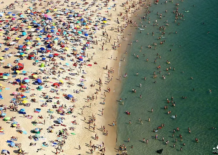 T4 Luis Апартаменты